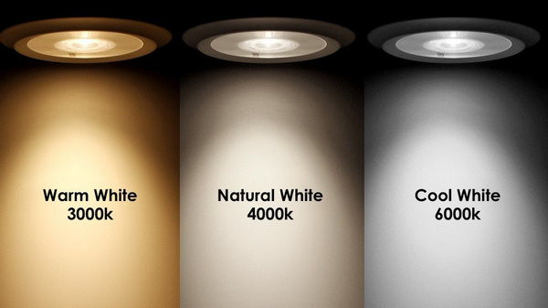 LED SIJALICA 4W GU10 CW