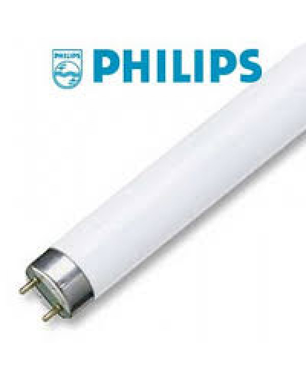 FLUO CEV TL MINI 8W/54 765 Ph.