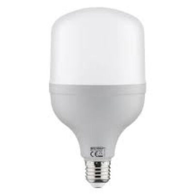 SIJALICA LED TORCH 30W T-100