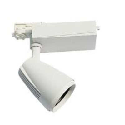 LED SINSKI REFLEKTOR BELI 30W TL06 WW