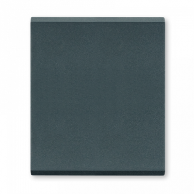 Taster dvostruki 2M antracit 6581.A